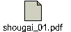 shougai_01.pdf