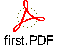 first.PDF