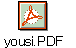 yousi.PDF