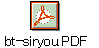 bt-siryou.PDF