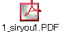 1_siryou1.PDF