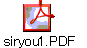 siryou1.PDF