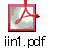 iin1.pdf