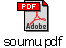 soumu.pdf