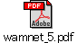 wamnet_5.pdf