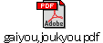 gaiyou,joukyou.pdf