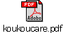 koukoucare.pdf