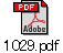 1029.pdf