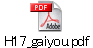 H17_gaiyou.pdf