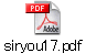 siryou17.pdf