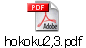 hokoku2,3.pdf