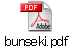 bunseki.pdf