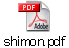 shimon.pdf