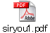 siryou1.pdf