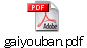 gaiyouban.pdf