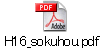 H16_sokuhou.pdf