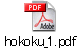 hokoku_1.pdf