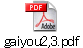 gaiyou2,3.pdf