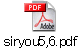 siryou5,6.pdf