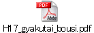 H17_gyakutai_bousi.pdf