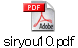 siryou10.pdf