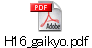 H16_gaikyo.pdf