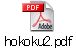 hokoku2.pdf