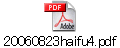 20060823haifu4.pdf