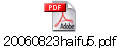 20060823haifu5.pdf