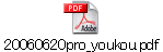 20060620pro_youkou.pdf