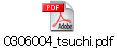 0306004_tsuchi.pdf