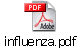 influenza.pdf