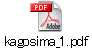 kagosima_1.pdf