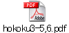 hokoku3-5,6.pdf