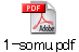 1-somu.pdf