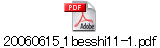20060615_1besshi11-1.pdf