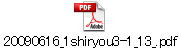 20090616_1shiryou3-1_13_.pdf