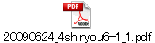 20090624_4shiryou6-1_1.pdf