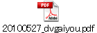 20100527_dvgaiyou.pdf