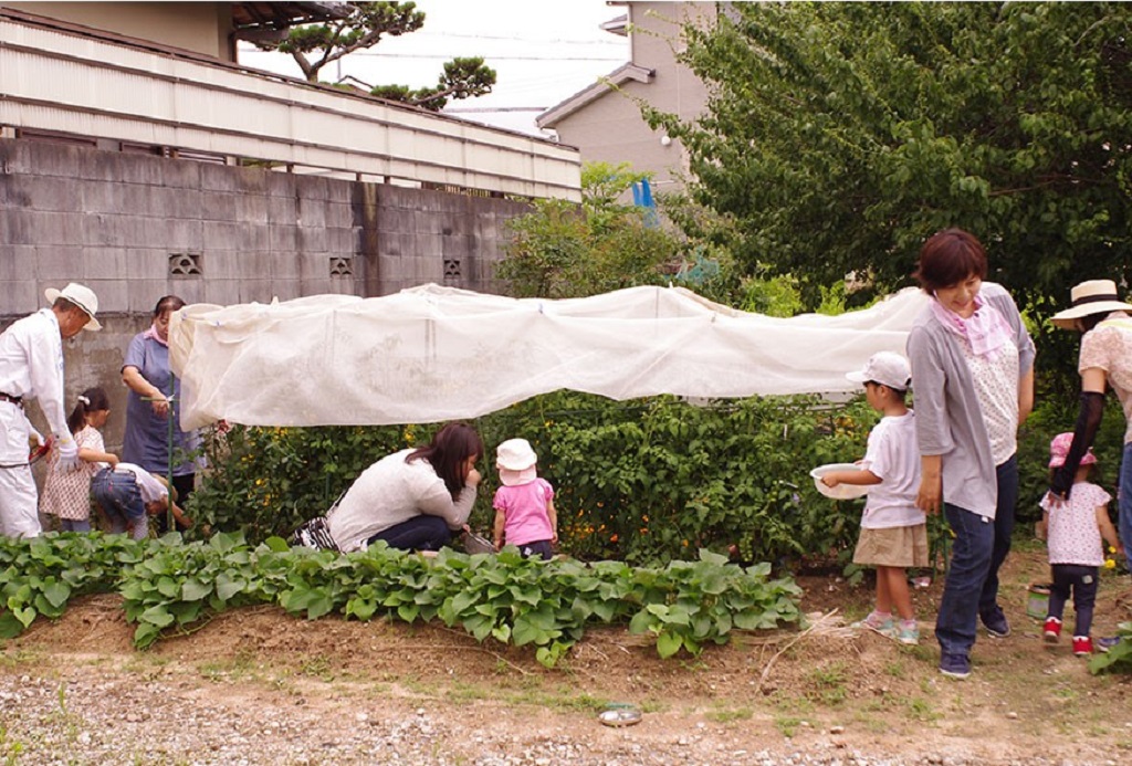 活動写真