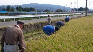 活動写真