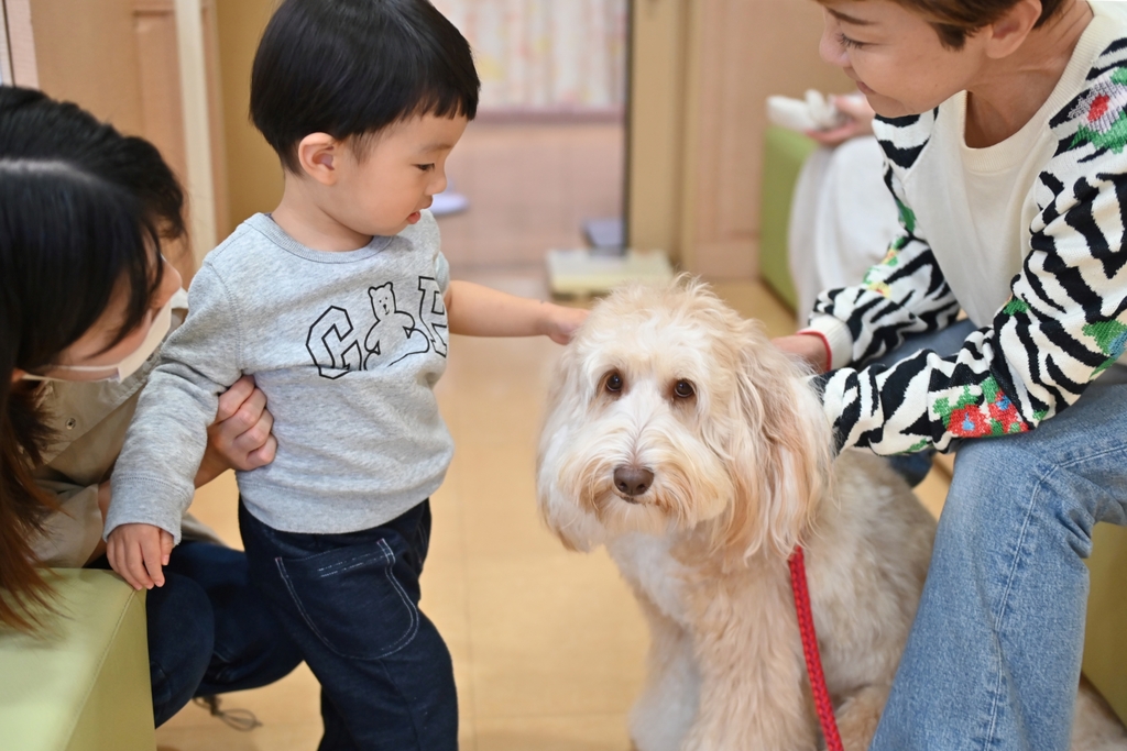 子どもの不安和らげるセラピー犬好評　鳥大病院とも連携