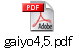 gaiyo4,5.pdf