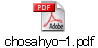 chosahyo-1.pdf