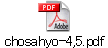 chosahyo-4,5.pdf