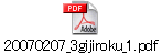 20070207_3gijiroku_1.pdf