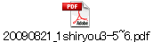 20090821_1shiryou3-5~6.pdf