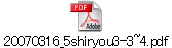 20070316_5shiryou3-3~4.pdf
