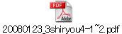 20080123_3shiryou4-1~2.pdf