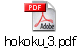 hokoku_3.pdf